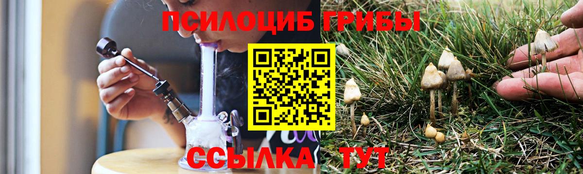 где купить наркотик  Вход с VPN  Петрозаводск  Галлюциногенные грибы прущие грибы 