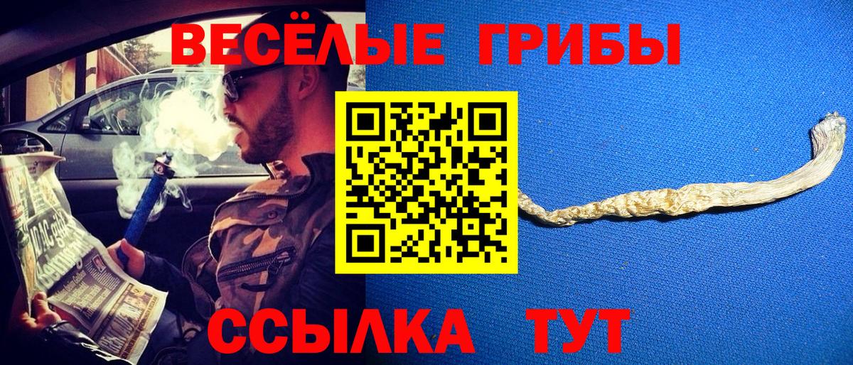 Псилоцибиновые грибы мицелий Петрозаводск